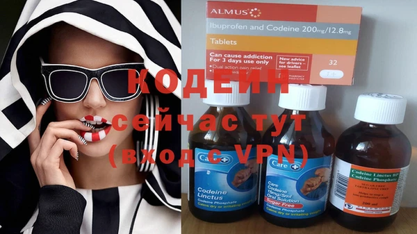 гашик Алексеевка